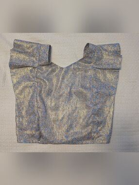 Shimmery Blue-Gold Floral Off-Shoulder Crop Top